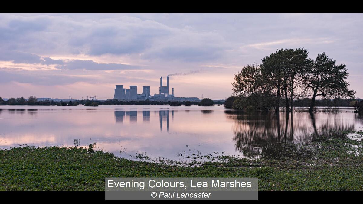 Evening Colours, Lea Marshes